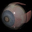 eye segmented anatomically 3d ma