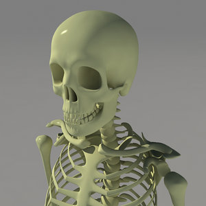 3d human skeleton