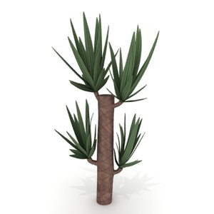 yucca plant 3ds