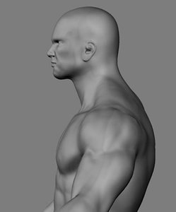 athletic male normal maps max