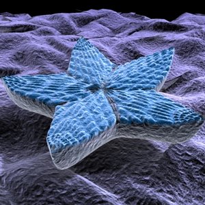 3ds max diatom
