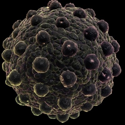 150 objects virus 3d model