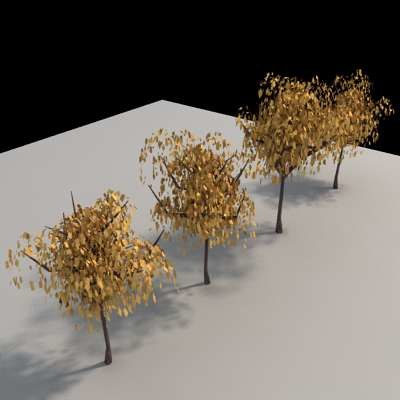 3d model tree architectural