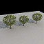 3d trees architectural