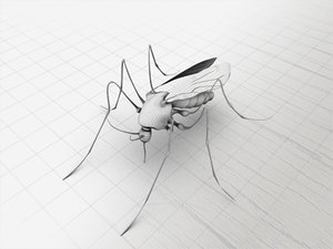 3ds mosquito insect