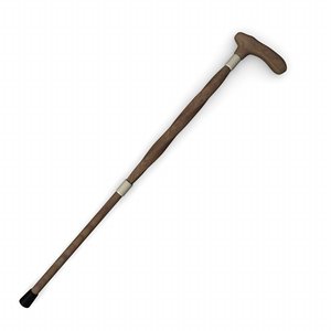 3d model cane