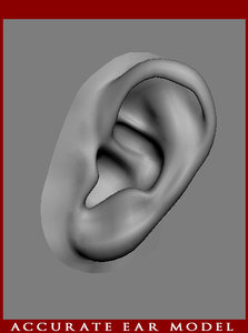 3d accurate human ear modeled