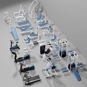 gym exercise max