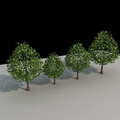 3d tree architectural model