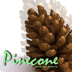 pine cone pinecone 3d model
