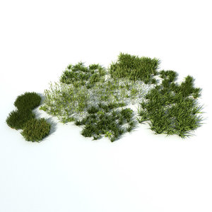 3d grass natural model