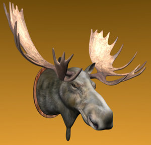 moose head 3dm