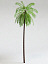 palms vol1 3d model