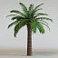 palms vol1 3d model