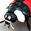 ladybug bug 3d model