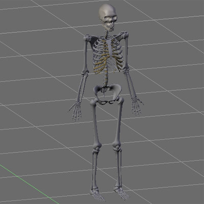 skeleton transformation 3d max