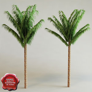 3ds arenga pinnata palm