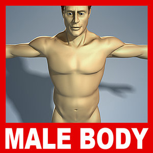 male human body 3d model