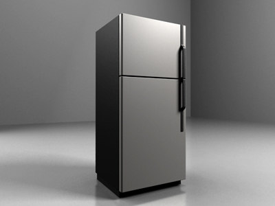 realistic refrigerator max