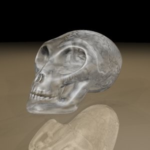 3d glass alien skull brain model