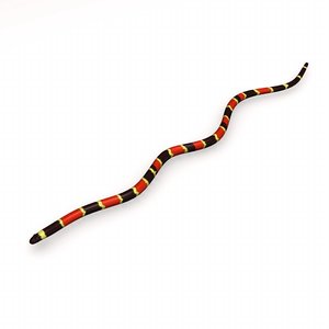 3dsmax coral snake