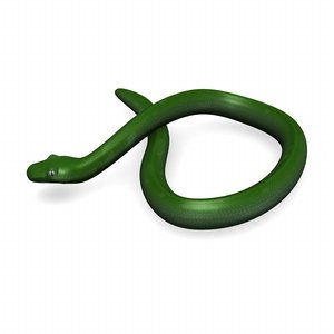 3d model green python