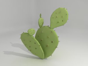 prickly pear cactus obj
