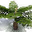 3d model tree fern