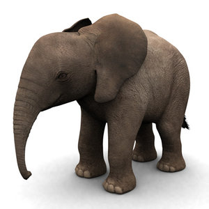 3d model elephant