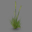 grassland plants - 1 3d max