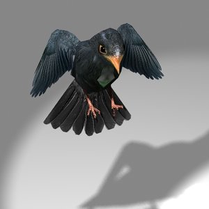 lightwave cute songbird blackbird bird flying