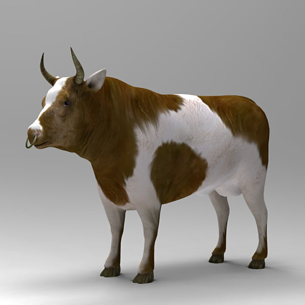 3d公牛模型