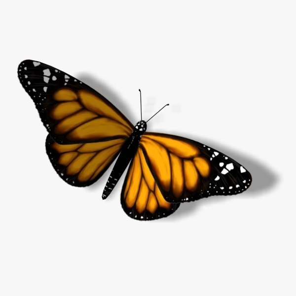 3d monarch butterfly model