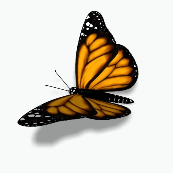 3d monarch butterfly model