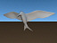 3d bird 11 species collections model