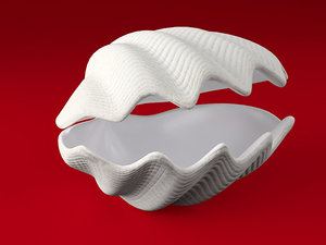tridacna seashell 3d model