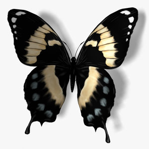 3ds max papilio homerus butterfly wings