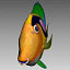 3d sea fishes 3 manta model