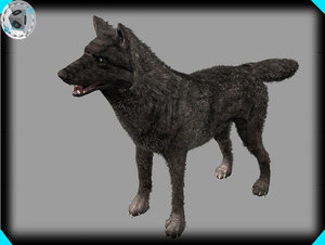 3d model black wolf