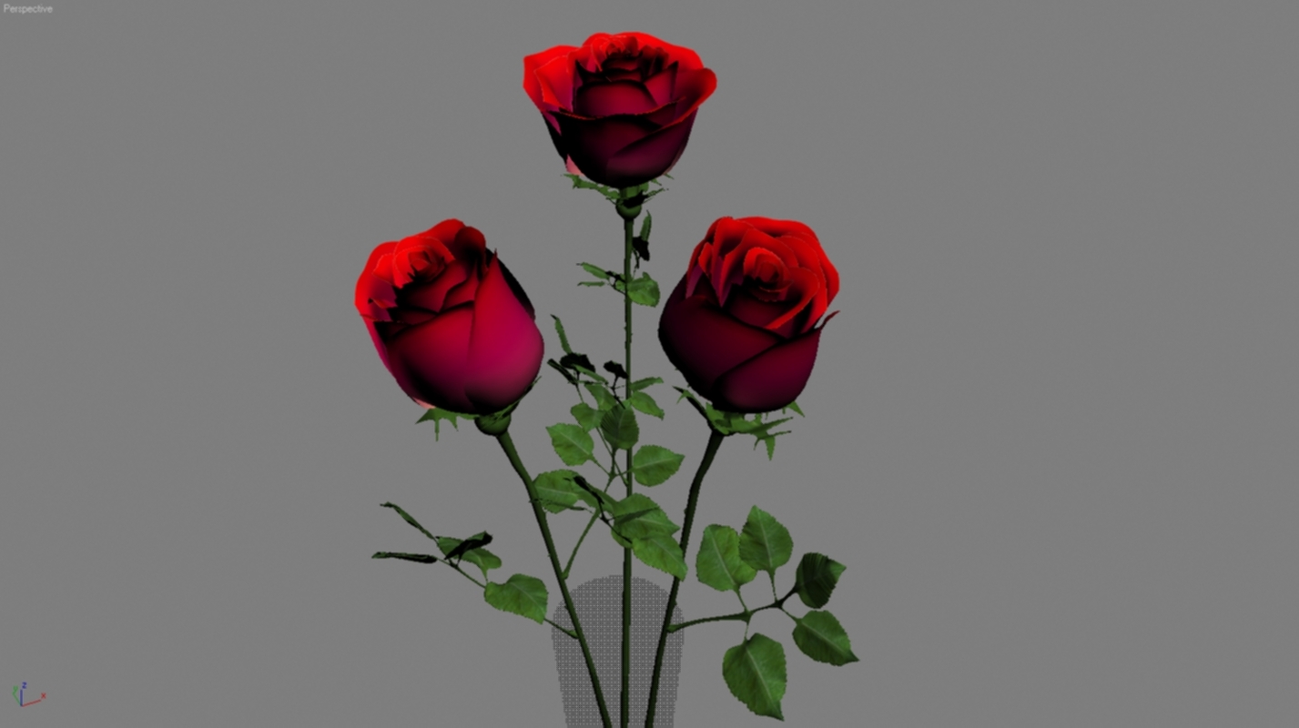 Розы 3d картинки