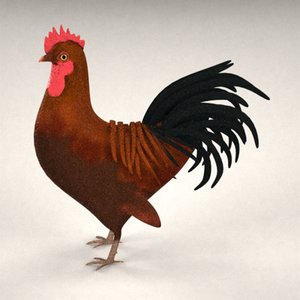 3d cock model