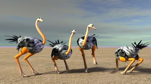 3d model ostrich animation