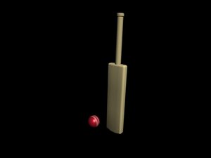 3d model simple cricket bat ball