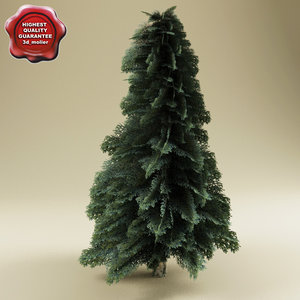3d fir tree model