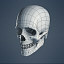 human skull max