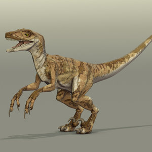 3d velociraptor dinosaur model