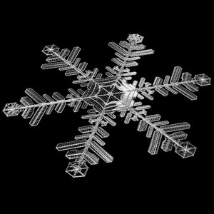 snowflake snow 3d model