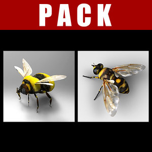 3d fly bumblebee model