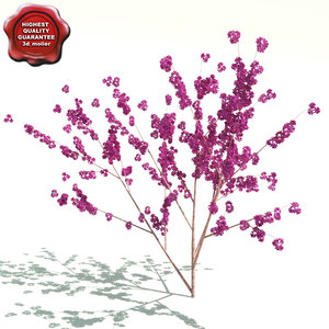 cercis canadensis flame 3d max