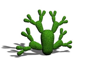 cactus 3d model
